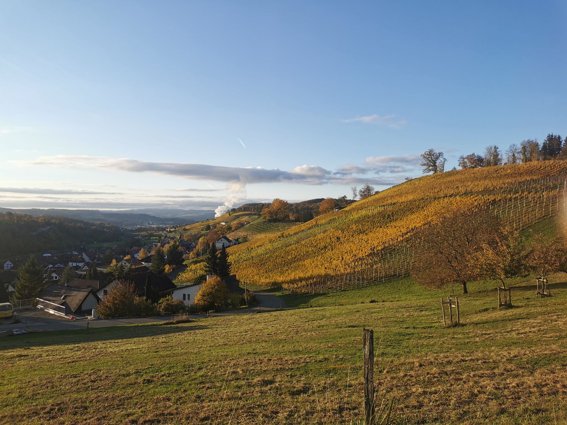 Wein, Weitblick & Wohlfühlmomente – Mein Tag auf dem Weinwanderweg Zurzibiet