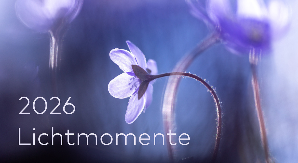 Magische Augenblicke