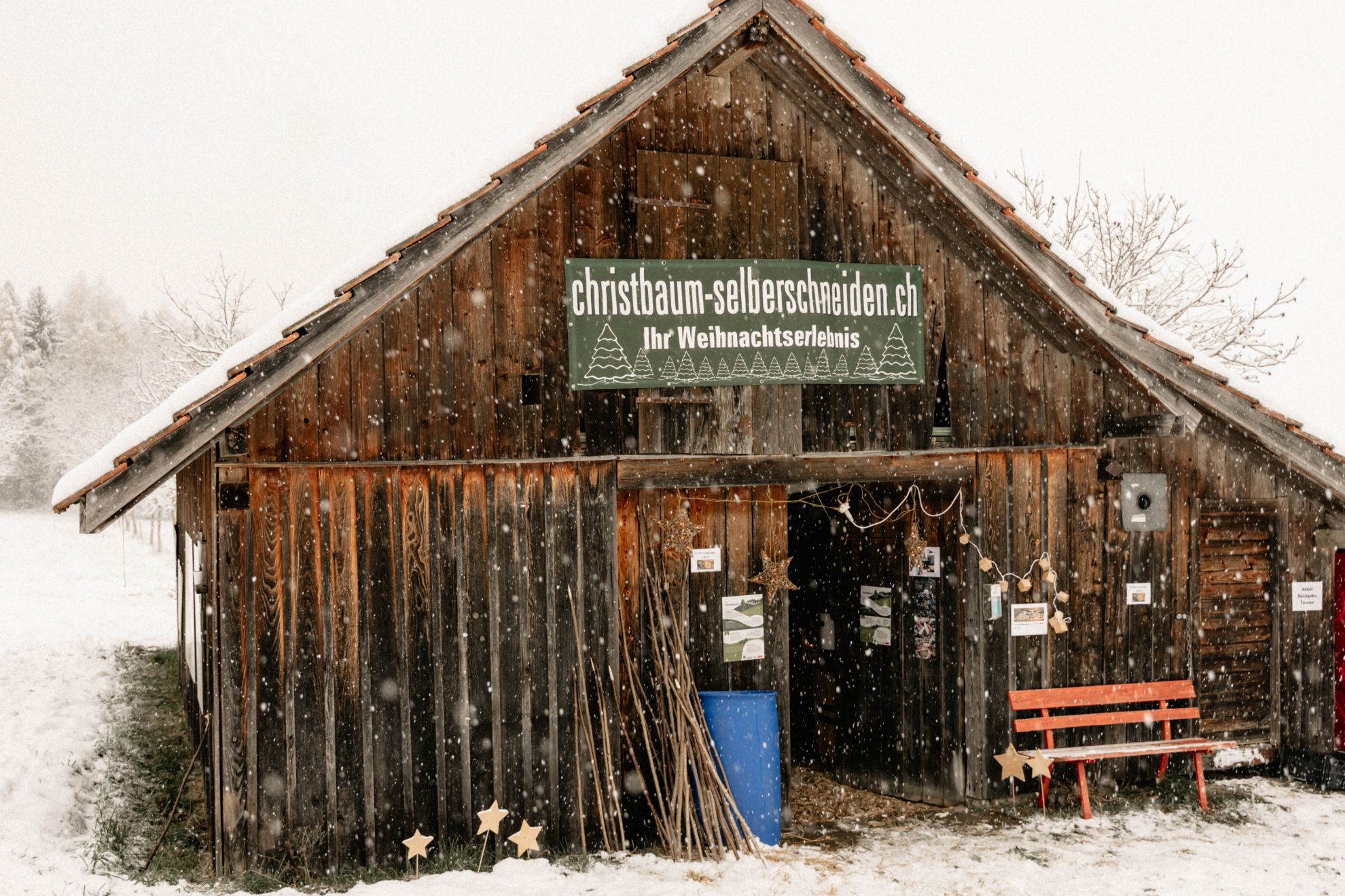 Christbaumkauf mit Erlebnisfaktor