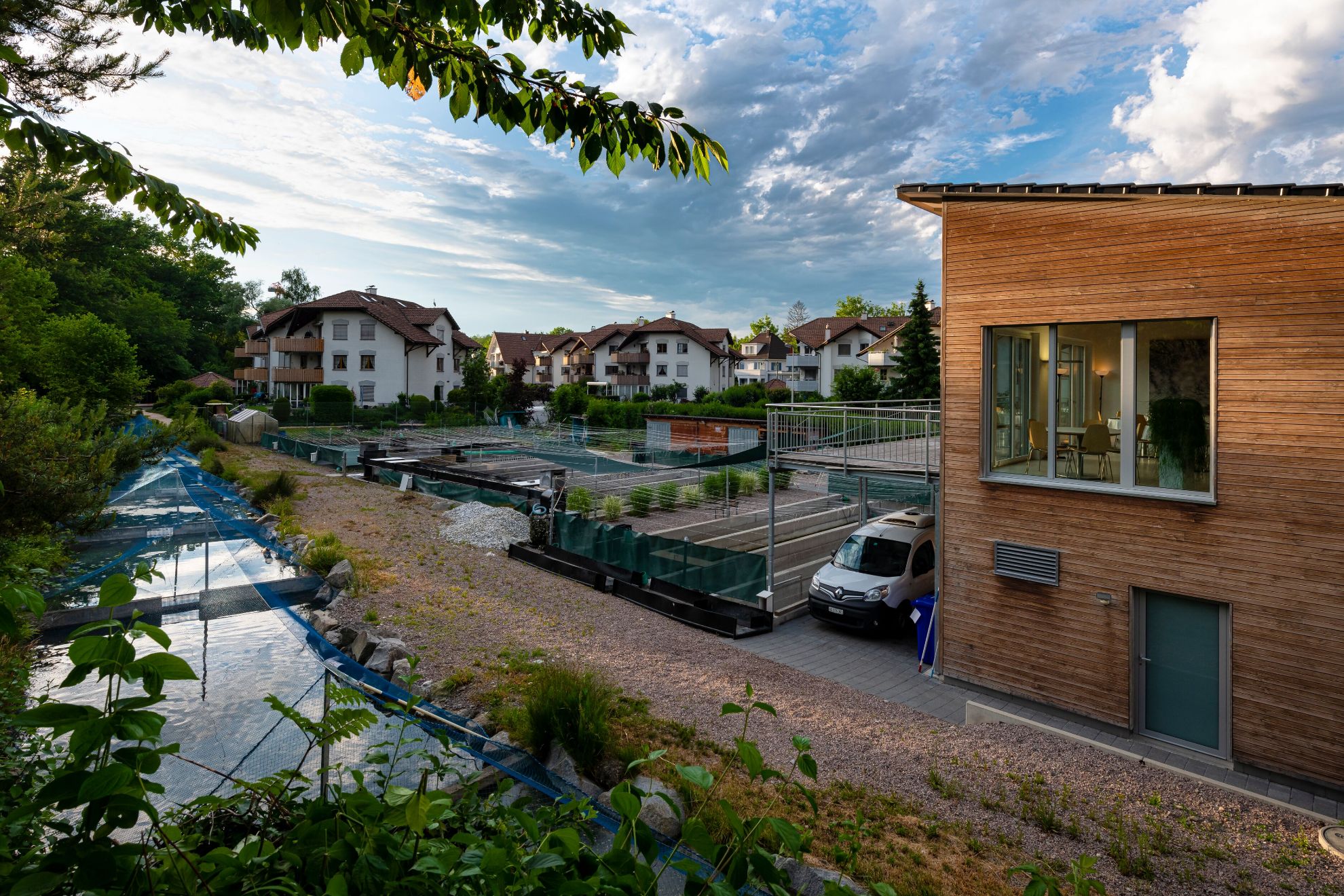 Erlesener Fischgenuss